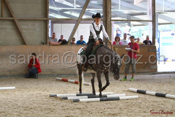 26-ApHC GT_124.jpg